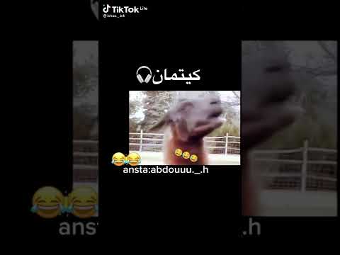 كيتمان اجباري تابعو القناة ليصلكم كل جديد بأذن الله