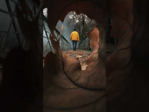 AMAZING Effect For Your Creative Photos Photoshoot Spring Shorts