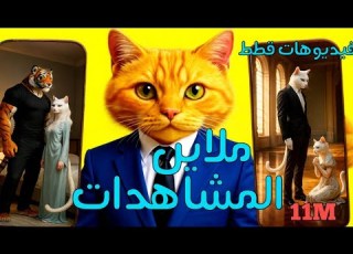 سر صناعة فيديوهات ترند القطط بالذكاء الاصطناعي مجانا وبلا حدود