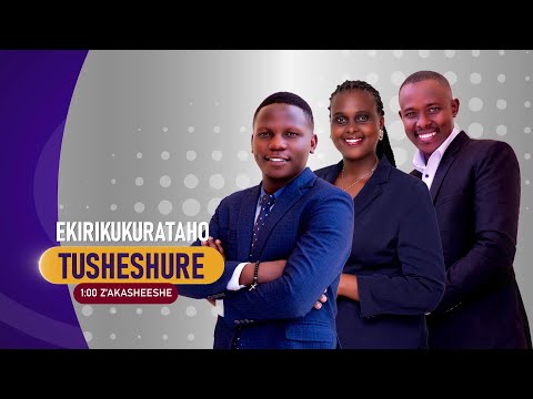 TUSHESHURE 17 3 2026