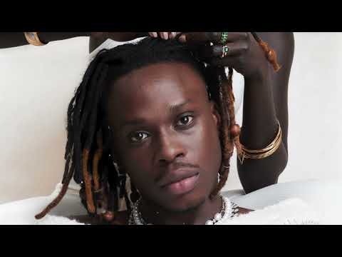 Fireboy DML Ashawo Official Visualizer