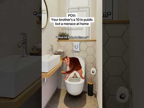 CAT MEMES Your Brother S A 10 In Public But A Menace At Home Catmemes Relatable Relationship
