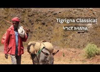 ትግርኛ ክላሲካል Tigrigna Classical