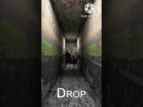 هل يمكنني قتل اينجلين العنكبوت باستخدام الشتقن Did You Kill Spider Angeline Using The Shotgun