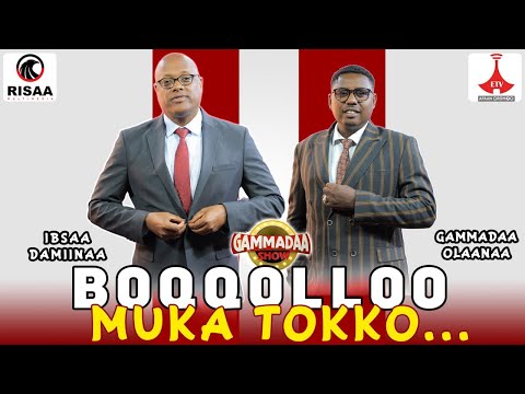 Boqqolloo Muka 1 Gammadaa Show Episode 31 Ibsaa Damiinaa 2024