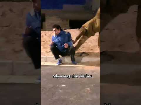 سلامك انت وصاحبك
