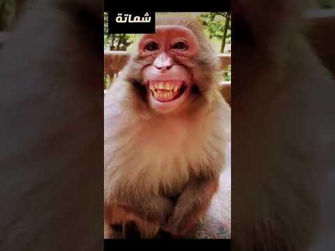 يوم لك ويوم عليك