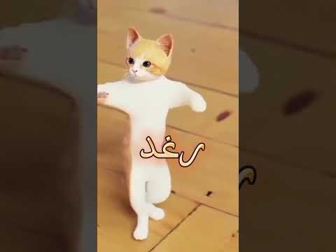 الطلب الاكثر رغد الجزائر العراق عمان مصر السعودية المغرب