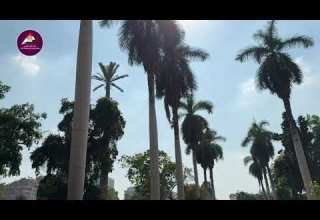 عملية تطوير حديقة الأورمان