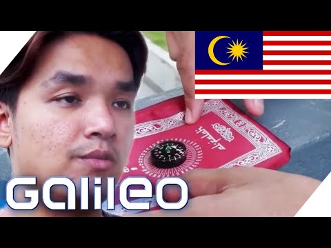 5 Dinge Ohne Die Man In Malaysia Nicht Leben Kann Galileo ProSieben