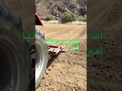 الله يرحم من خلفها امين