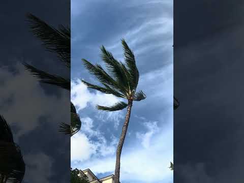 Https Www Instagram Com Reel C95VgJMSUbu Igsh MzRlODBiNWFlZA