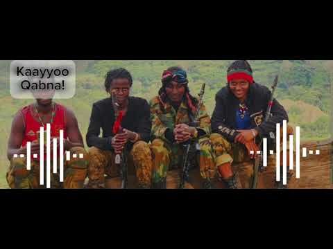 Jaal Jaanjessaa Diinaa New Oromo Music Kaayyoo Qabna 2024