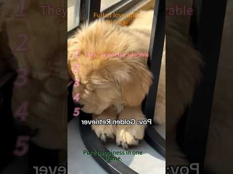 Mit Ihnen Ist Das Leben Besser