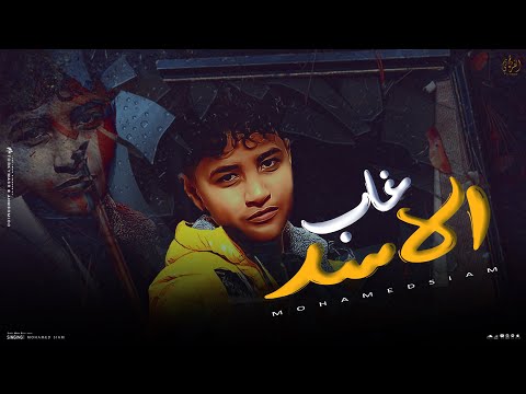 غاب الاسد محمد صيام اسلكولي بلاش ام السواد Official Music Video 2025