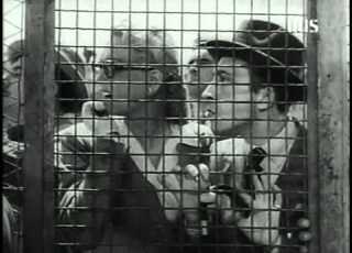 Juventus Roma Secondo Tempo 1950