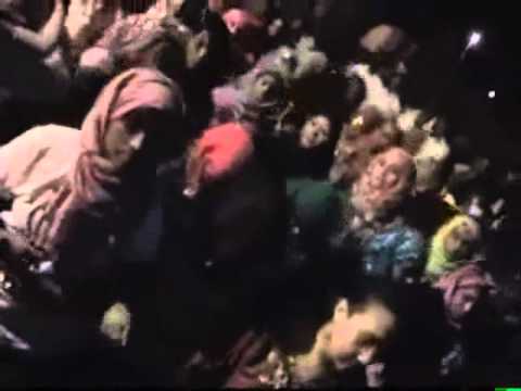 البيسمبيس يتالق في أبو سمبل