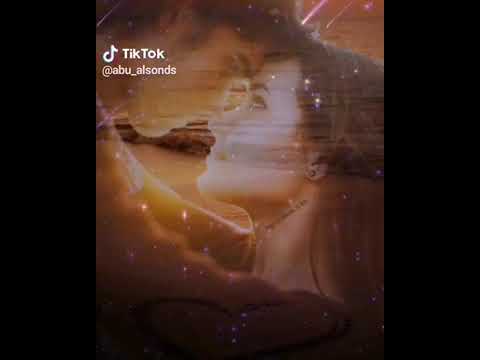 معاك هاني شاكر