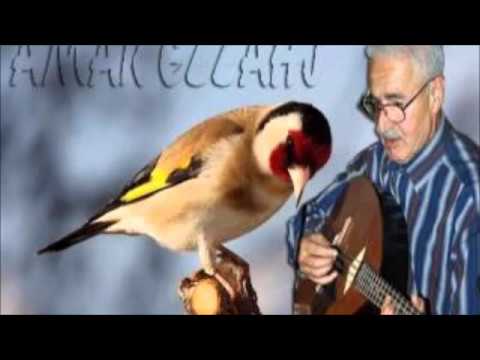 Amar Ezzahi Esmeralda