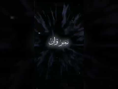 انا جمهوري واقف في ضهري نمبر 1 وانتم عارفين فيديو Short