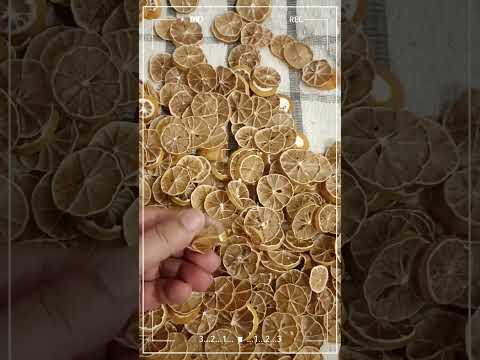 Dry Lemon Slices
