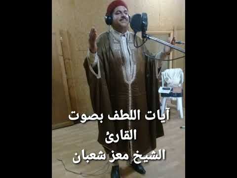 آيات اللطف بصوت الأستاذ معز شعبان