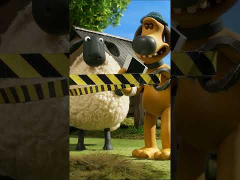 CSI MOSSY Shorts Shaunthesheep Animation