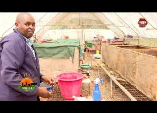  Mkulima Maji Ya Konokono Yatumika Kutengeneza Dawa Ya Kukohoa Na Mafuta Ya Mwili