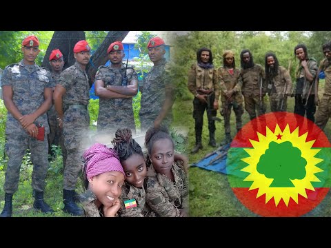 Haala Yeroo Irratti WBo Fi Raayyaa Ittisa Biyyaa Live TikTok Irraatti Khaab Butta Oduu Ammee Aslii