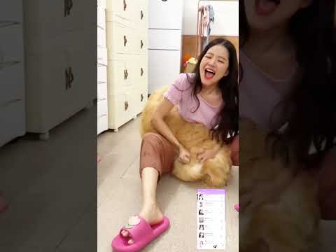 Animal Farming Doglover Farmanimalct Seotips Comedy Pets Seotutorial Cute Seoguide Puppy