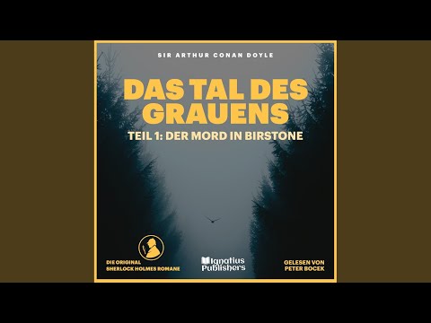 Kapitel 14 Das Tal Des Grauens Teil 1 Der Mord In Birstone