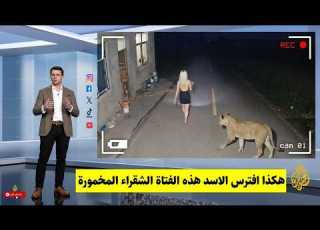كا ترصد أخطر هجمات الحيوانات المفترسة لن تصدق