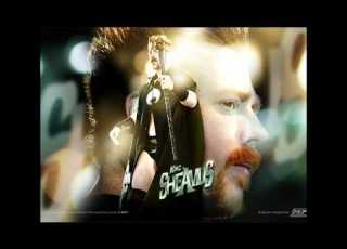 Sheamus Theme Song 2011 Arena Effects With Crowd