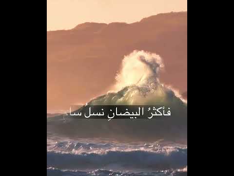نوح و هود و صالح عليهم السلام الأرجوزة المحبرة في التاريخ نوح و هود و صالح عليهم السلام الأرجوزة المحبرة في التاريخ
