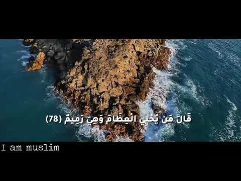 قال من يحيي العظام وهي رميم حالات واتس منصور السالمي