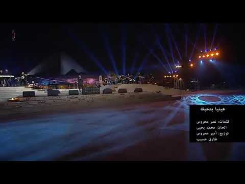 يعني ايه تامر حسني