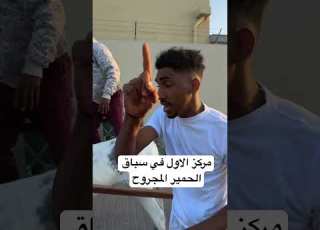مركز الاول في سباق الحمير المجروح الاحساء حمار Donkey حمار