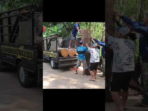 عملية تحميل الأخشاب الكبيرة والثقيلة تحميل الأخشاب