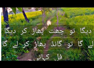 دیگا تو چھت پھاڑ کر دیگا لے گا تو گانڈ پھاڑ کر لے گا فل کہانی کی میں