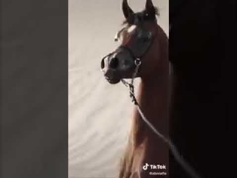 من دموع العين طاحت