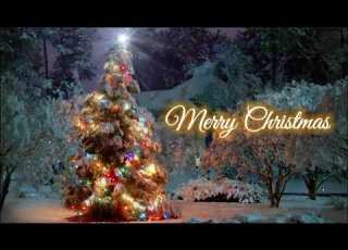  CHRISTMAS STATUS 2021 2022 UNLIMITED STATUS VIDEO WE ARE JTA WHATSAPP STATUS VIDEO