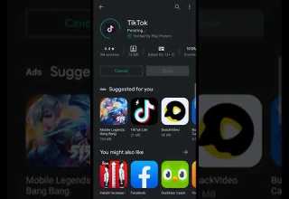 Even Google Play Store Wont Allow Me To Downlod Tiktok
