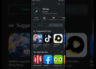 Even Google Play Store Wont Allow Me To Downlod Tiktok