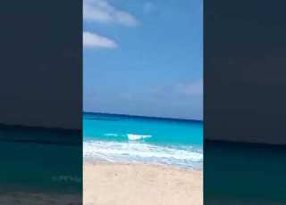 يا ساكنى مطروح النيه فى بحركم