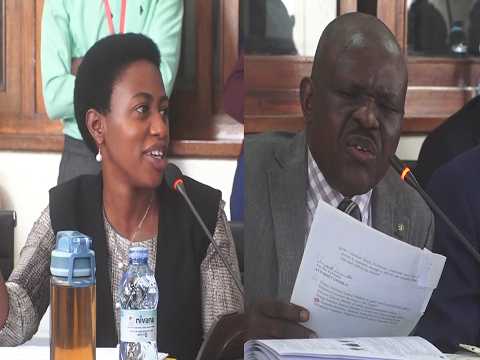 MP Kinyamatama Shines In COSASE Committee At Parliament