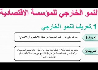  بحث حول انماط النمو الخارجي للمؤسسة الاقتصادية شرح ممتاز