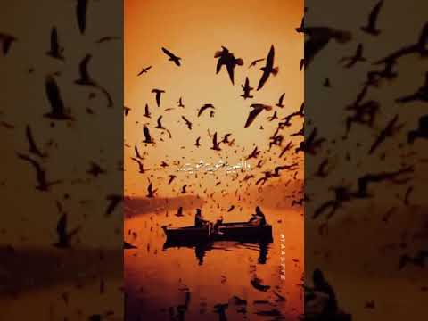 فيروز اخر ايام الصيفية