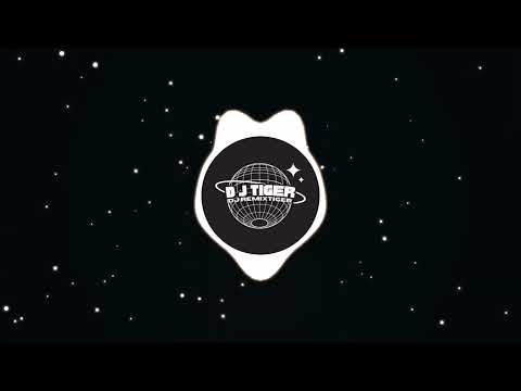 ميني مكس برازيلي زهايمر مبكر نار نار محترقه ذيابه BPM 112 DJ TIGER