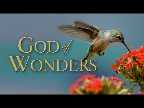 God Of Wonders 2008 Documentary John Whitcomb Dan Sheedy Don B DeYoung
