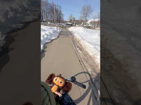 Lifeisbutadream Ihavethisthingwithplants зимавмоскве Voiceeffects